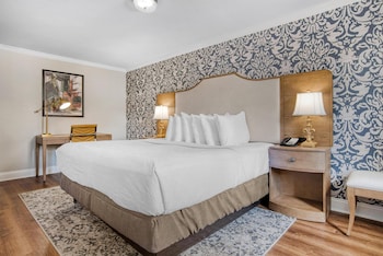Standard Room, 1 King Bed, Non Smoking