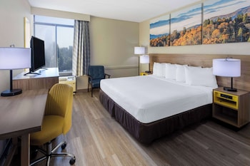 Room, 1 King Bed, Non Smoking