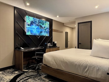Executive Room, 1 King Bed (Breakfast for up to 2 adults)