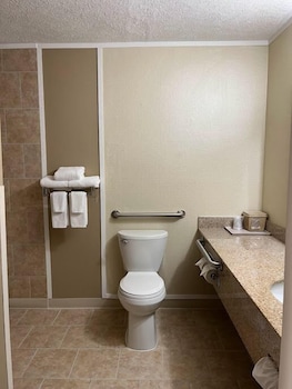 Room, 1 King Bed, Accessible, Non Smoking