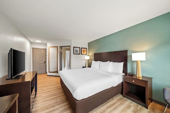 Room, 1 King Bed, Non Smoking