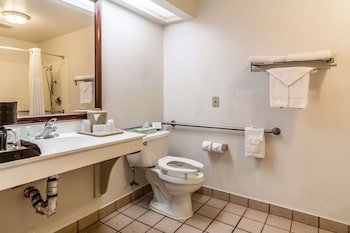Room, 1 King Bed, Accessible, Non Smoking (Efficiency)