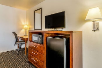Room, 1 King Bed, Accessible, Non Smoking (Efficiency)