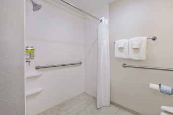 Standard Room, 1 King Bed, Accessible (Roll-In Shower)