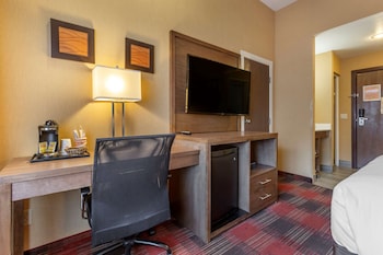 Standard Room 1 Queen Bed, Chair, Roll-in Shower, Accessible, Non-Smoking