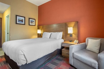 Standard Room 1 Queen Bed, Chair, Roll-in Shower, Accessible, Non-Smoking