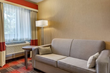 Room, 1 King Bed with Sofa bed, Non Smoking