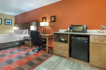 Room, 1 King Bed with Sofa bed, Non Smoking