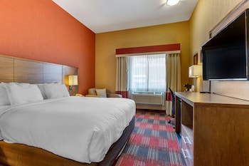 Standard Room 1 Queen Bed, Chair, Roll-in Shower, Accessible, Non-Smoking