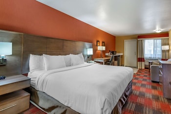 Room, 1 King Bed with Sofa bed, Non Smoking