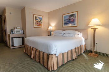 Room, 1 King Bed, Accessible, Non Smoking (Building 3, Mobility)