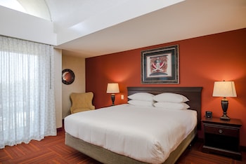 Suite, 1 King Bed, Non Smoking, Park View (Building 1, One-Bedroom)