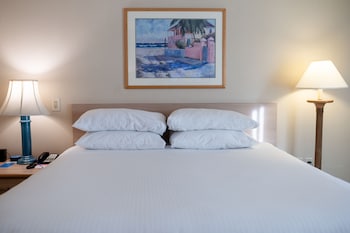 Room, 1 King Bed, Non Smoking (Mobility,roll-in shower,bldg3)