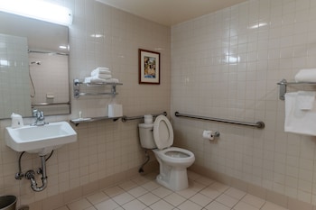 Room, 1 King Bed, Non Smoking (Mobility,roll-in shower,bldg3)
