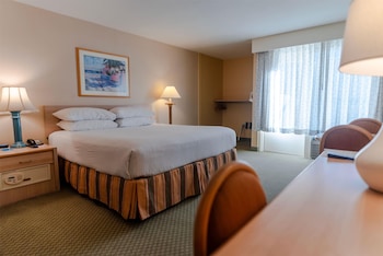 Room, 1 King Bed, Accessible, Non Smoking (Building 3, Mobility)
