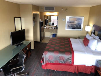 Room, 1 King Bed, Non Smoking