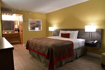 Room, 1 King Bed, Non Smoking