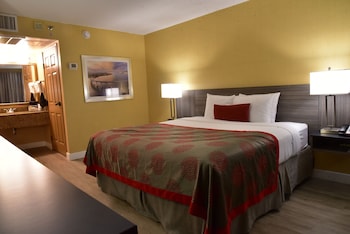 Room, 1 King Bed, Non Smoking, Bay View (Lower Floor)