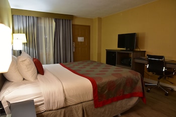 Room, 1 King Bed, Non Smoking, Bay View (Mid Floor)