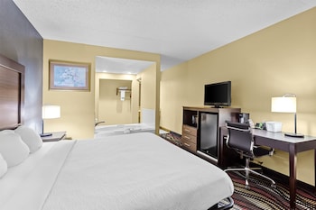 Room, 1 King Bed, Non Smoking, Jetted Tub