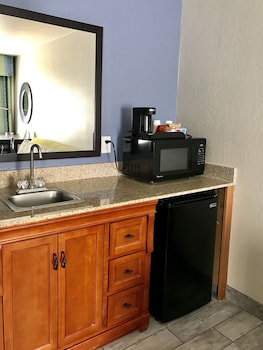 Studio Suite, 1 King Bed (No Pets Allowed)