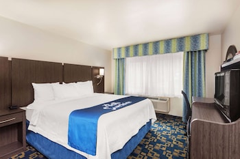 Room, 1 King Bed, Accessible (No Pets Allowed)