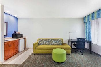 Studio Suite, 1 King Bed (No Pets Allowed)