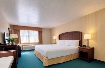 Standard Single Room, 1 King Bed