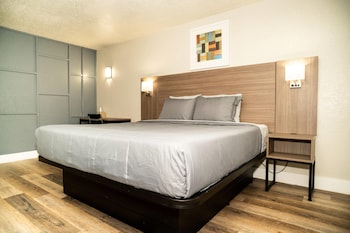 Standard Room, 1 King Bed, Non Smoking