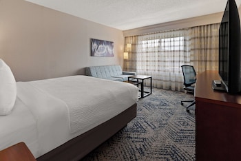 Standard Room, 1 King Bed, Non Smoking (with Sofabed)