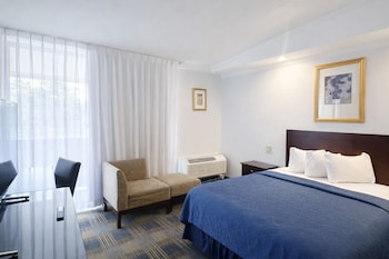 Deluxe Room, Queen Bed