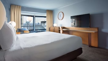 City Room, 1 King Bed