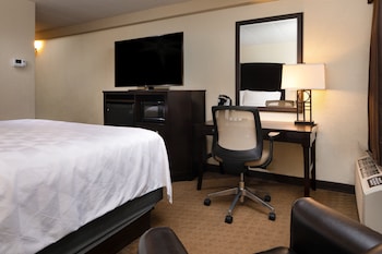 Standard Room, 1 King Bed, Accessible (Communications)