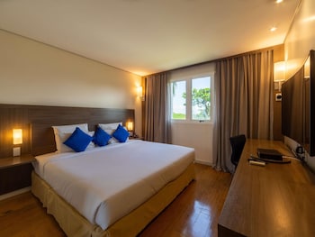 Room, 1 King Bed