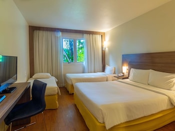 Family Room, Multiple Beds