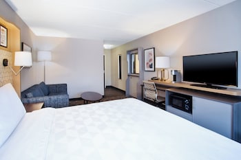 Standard Room, 1 King Bed with Sofa bed