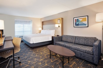 Standard Room, 1 King Bed with Sofa bed