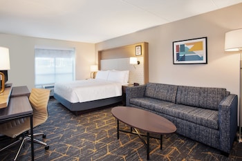 Standard Room, 1 King Bed with Sofa bed