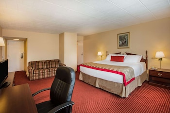 Room, 1 King Bed, Non Smoking