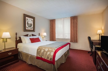 Room, 1 Queen Bed, Non Smoking
