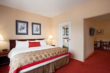 Studio Suite, 1 King Bed, Non Smoking