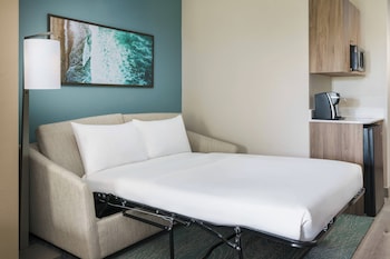 Single Room, Multiple Beds