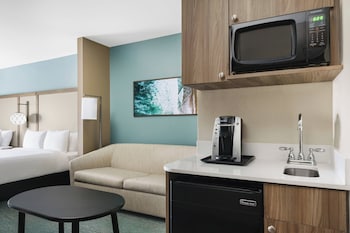 Single Room, Multiple Beds