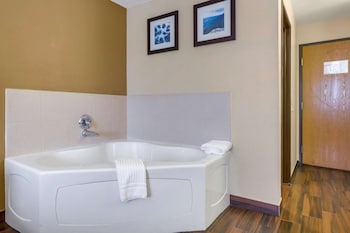 Deluxe Room, 1 King Bed, Non Smoking, Jetted Tub (Larger)
