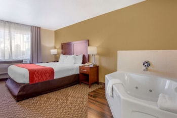 Deluxe Room, 1 King Bed, Non Smoking, Jetted Tub (Larger)
