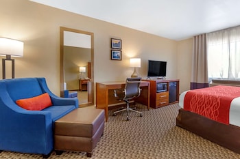 Standard Room, 1 King Bed, Non Smoking