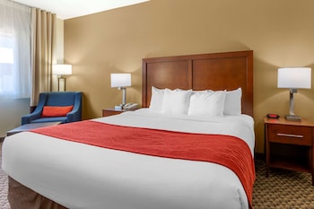 Standard Room, 1 Queen Bed, Accessible, Non Smoking (Bathtub)