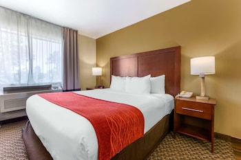Standard Room, 1 King Bed, Non Smoking