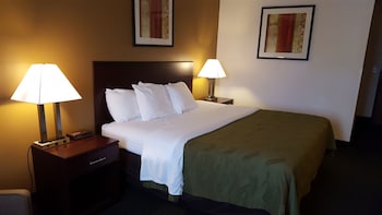 Standard Room, 1 King Bed, Non Smoking