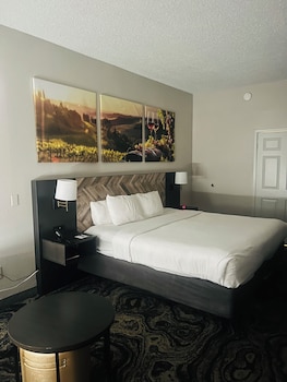 Room, 1 King Bed, Accessible, Non Smoking